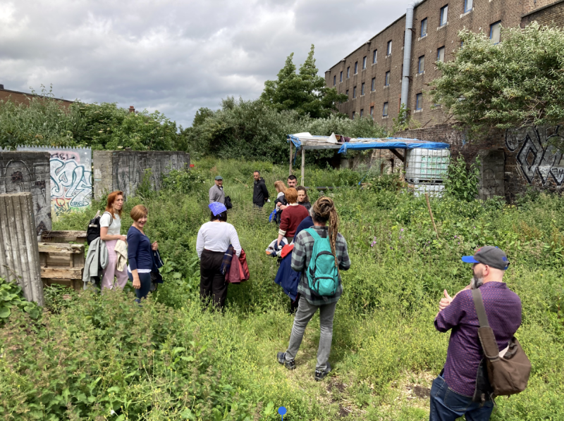 Creative Natures: An Arts and Ecology tour of the NCAD Field site with artist and NCAD lecturer Seoidín O'Sullivan.